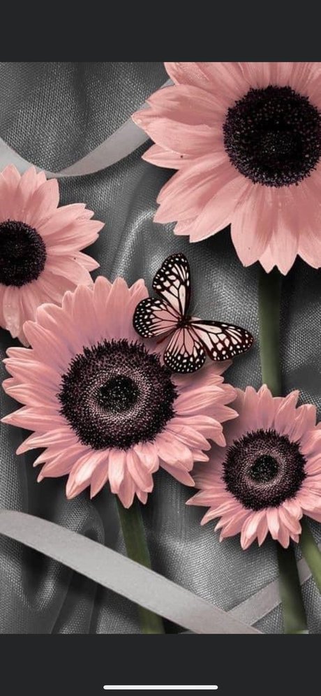 Elegant Scarlett onlyfans naked pics