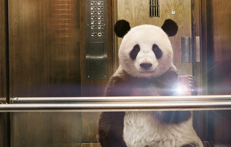 Pandaa Hendrixx onlyfans leaks