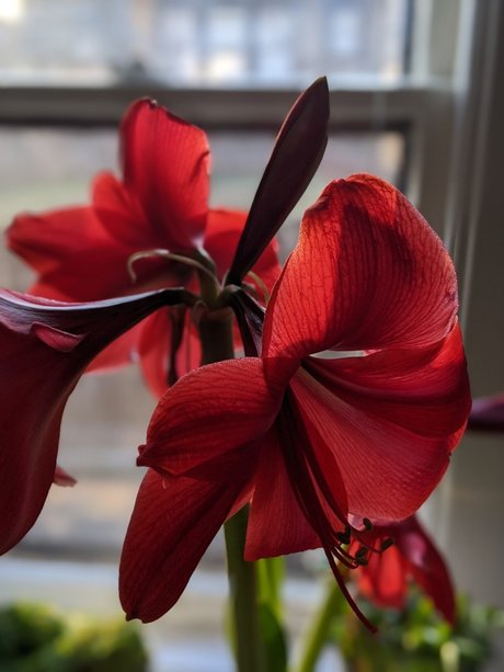 Crystine_ onlyfans pics nude