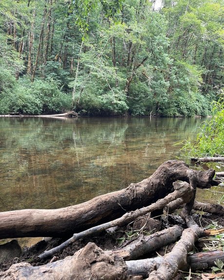 cum area only fans leak porn