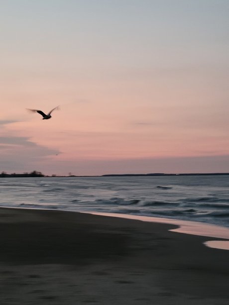 Nicole Phillips onlyfans mega