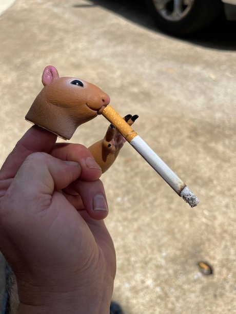 NightOwl free onlyfans