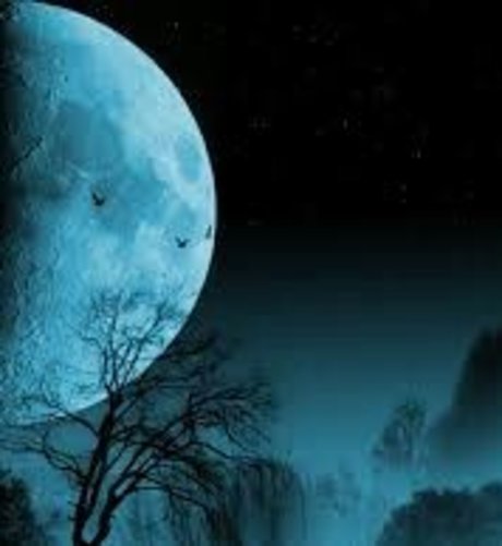 NightGod772 leak onlyfans