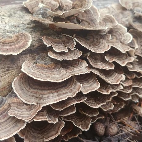 Joanna Banana leaked nudes onlyfans