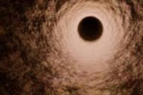 Dick Hunter XL onlyfans images