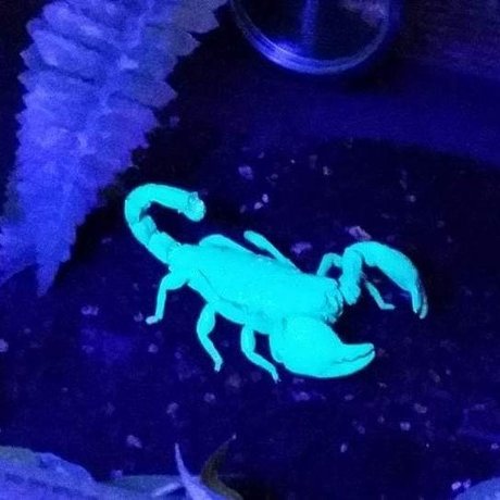 BennyS onlyfans fuck