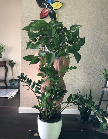 nastywoman3 nudes leaked onlyfans