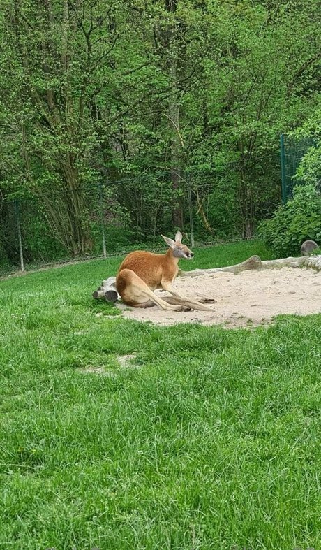 brown onlyfans free xxx archive