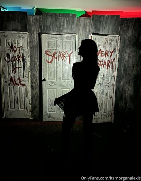 itsmorganalexis onlyfans nsfw