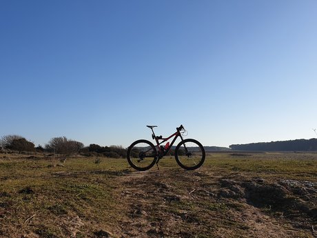 ntonio78 onlyfans leaks