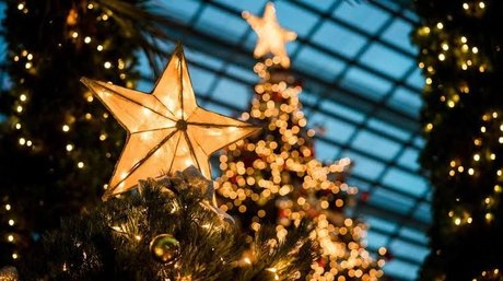 TupincheDiosa leaked onlyfans pics