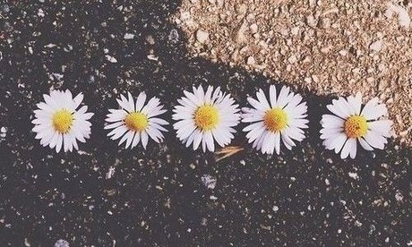 Arisaly Ortiz nudes onlyfans leaked