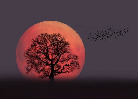 Your Favourite Pagan onlyfans leak free