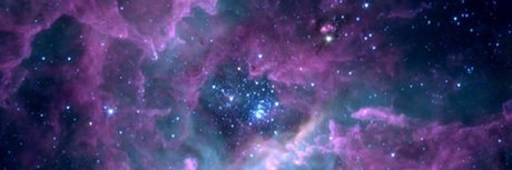 Charlie Nolan porn leaked onlyfans