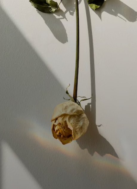 _Ally s Feet free onlyfans