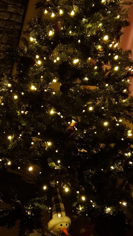 Alexandr Zolotov onlyfans nude porn