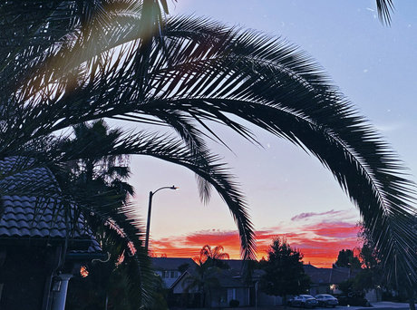 Newdsconnoisseurs joi onlyfans