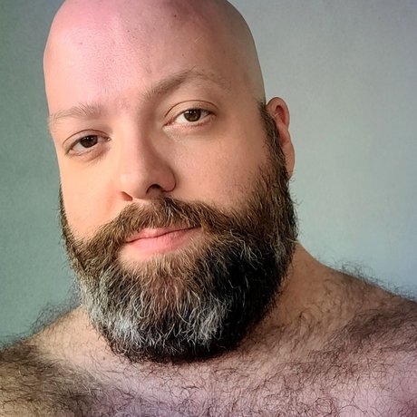A bear onlyfans for free
