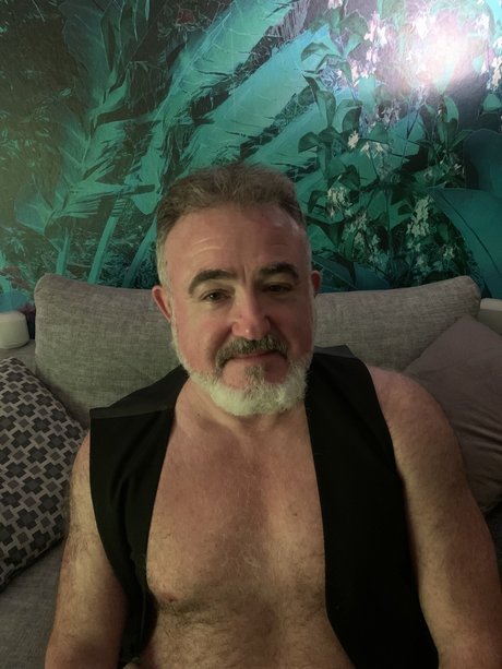 Silver bear onlyfans leaks free