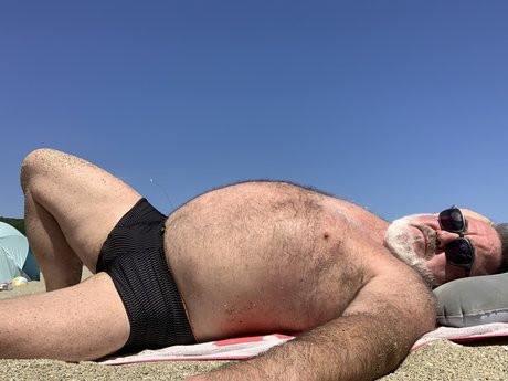 Silver bear onlyfans free