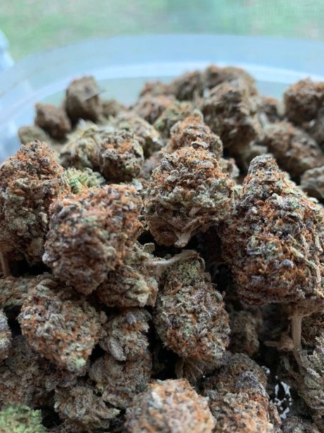 OgMack23 sextape onlyfans