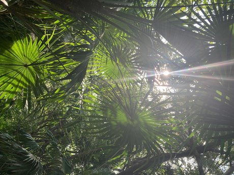 Ocher X onlyfans leaked naked