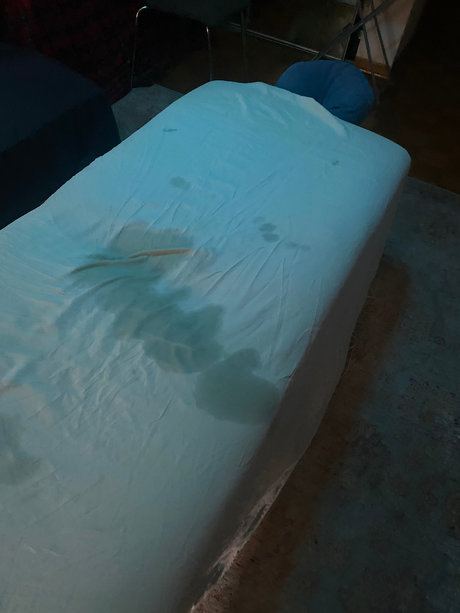 Adventures of Bo only fans leaks