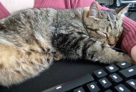 Alice in Bliss naked only fans