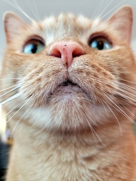 onlytabs onlyfans model images