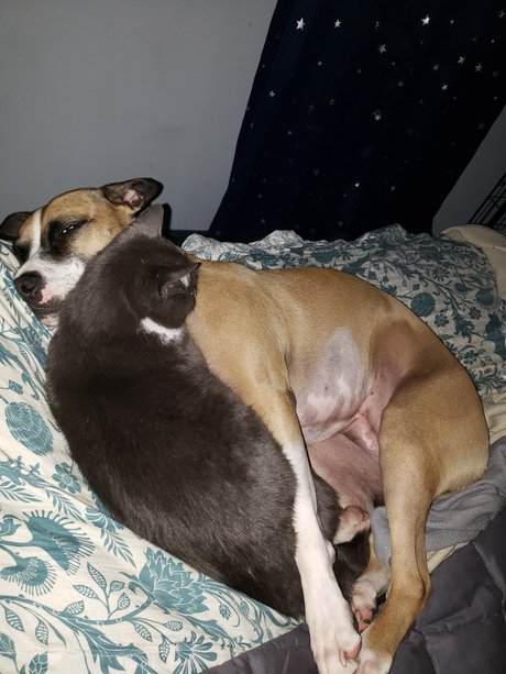 onlytabs porn leaked onlyfans