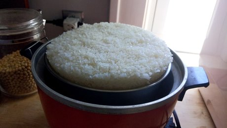 OnlyFeesh leaked naked onlyfans