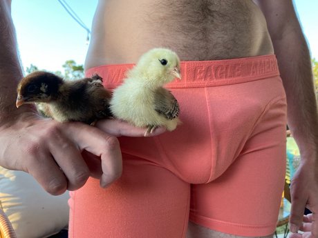 Only Chicken Fans ass onlyfans