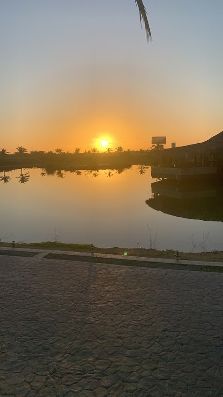 onesexy01 onlyfans archive