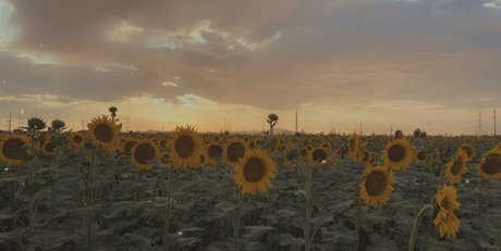 Omnipotentjade onlyfans sex tape