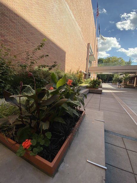 Aaron Leiman onlyfans leak