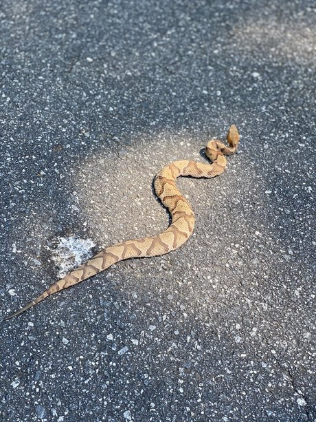 SlingBlade33 free onlyfans porn