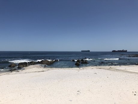 Aquarius Prince_ onlyfans naked