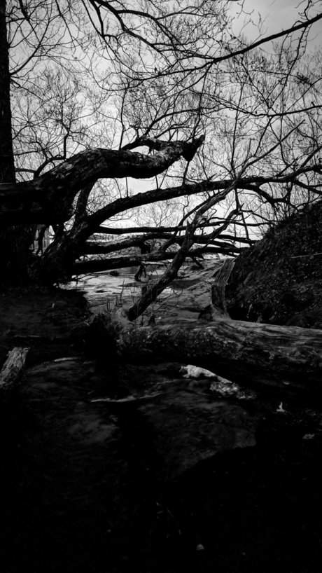 Faceless onlyfans boobs