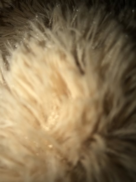 Dany9111 onlyfans leaked xxx