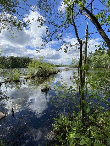 Lauren Wren porn onlyfans