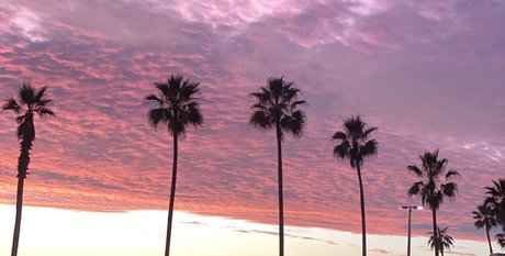 RoyTheCat nudes only fans