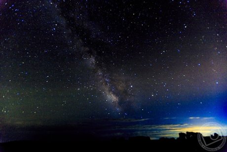 OPP Charlie tits onlyfans