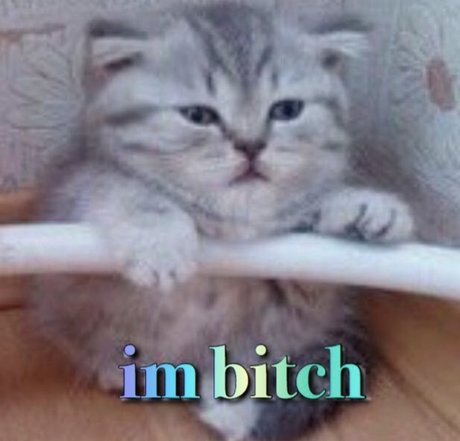 phoenix princess new onlyfans