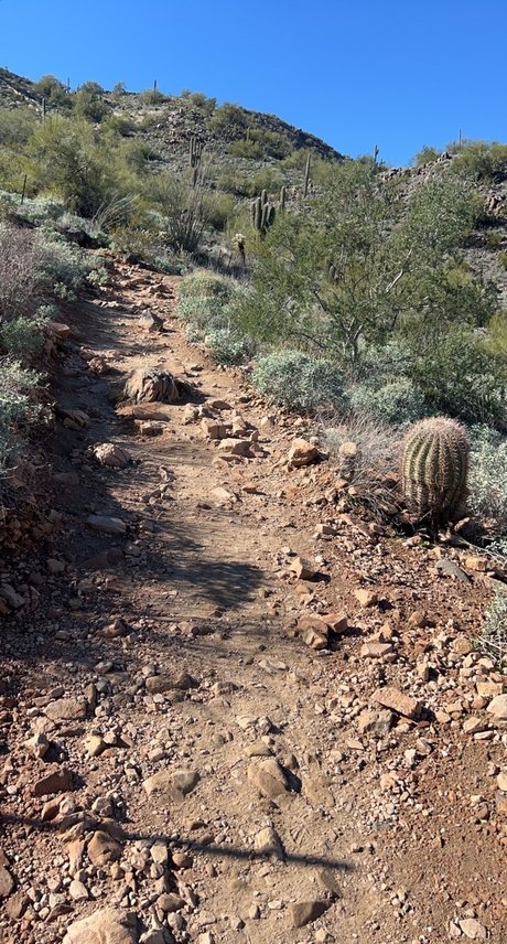 OnyxSton3 xxx only fans