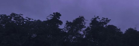 Hunter Rose onlyfans full