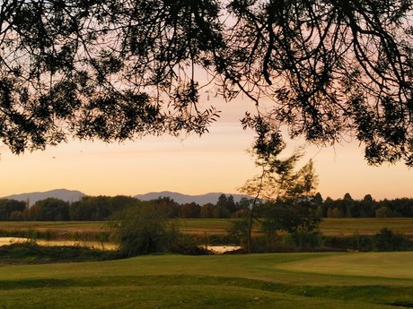 _POPI_ onlyfans leaked nudes