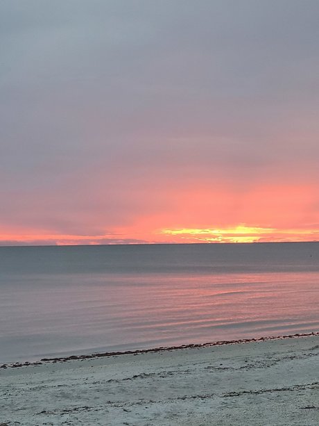 Pastel Pearl nude onlyfans leak