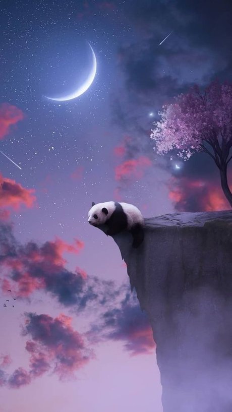 Pandababii93 leaked onlyfans nudes