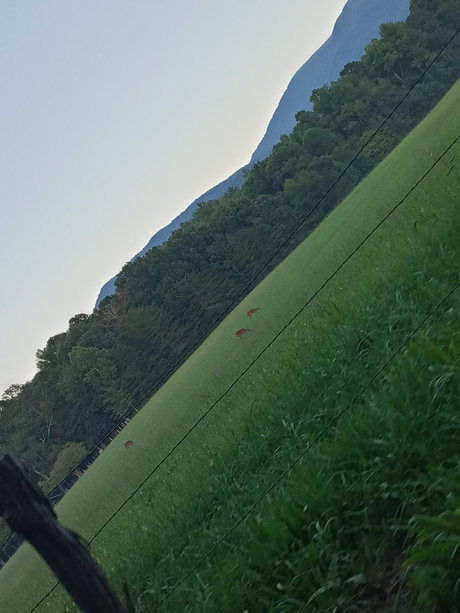 Alecia Ray leak onlyfans nude