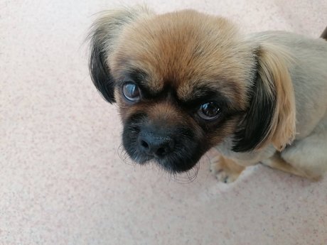 Sugar Addict free onlyfans